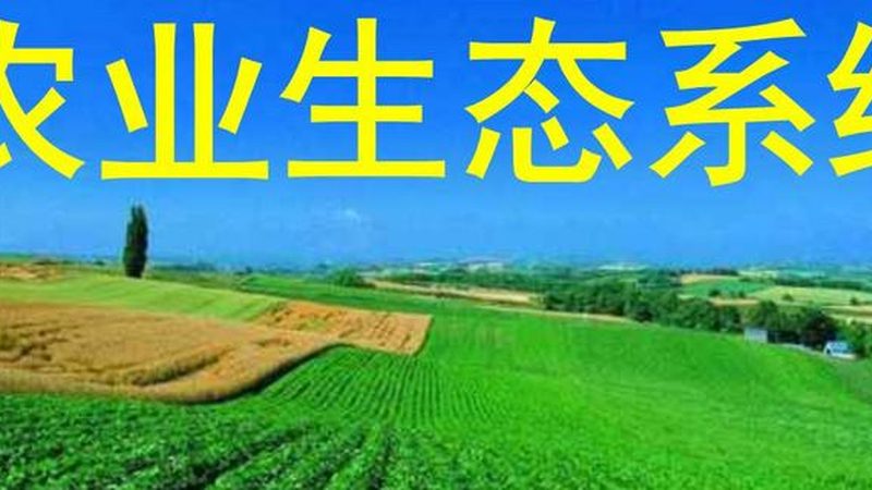 农资批发：厂家直销与代理，有何不同？**