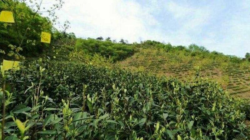 农业项目安装，这些步骤你不可不知**