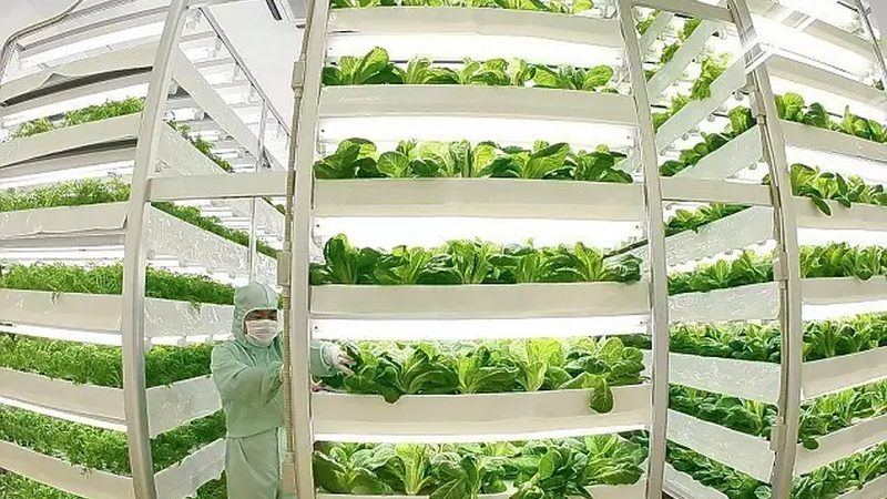 合作社财务管理的规范之路：制度范本解析