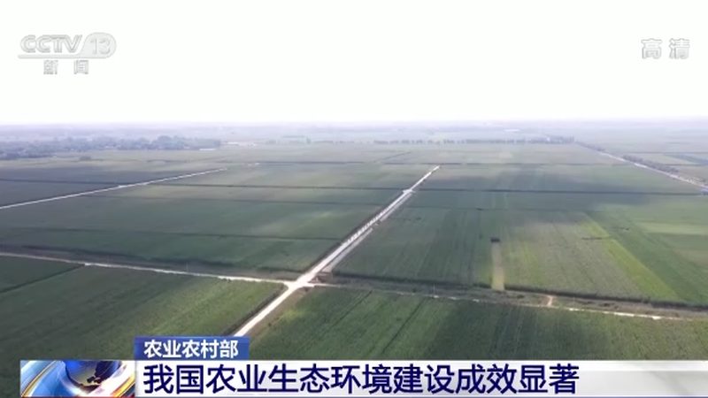 水果农产品规格型号：行业规范与选购要点