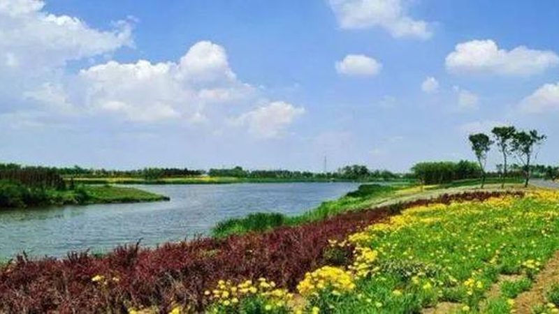 玻璃温室大棚：规格尺寸解析与选型逻辑