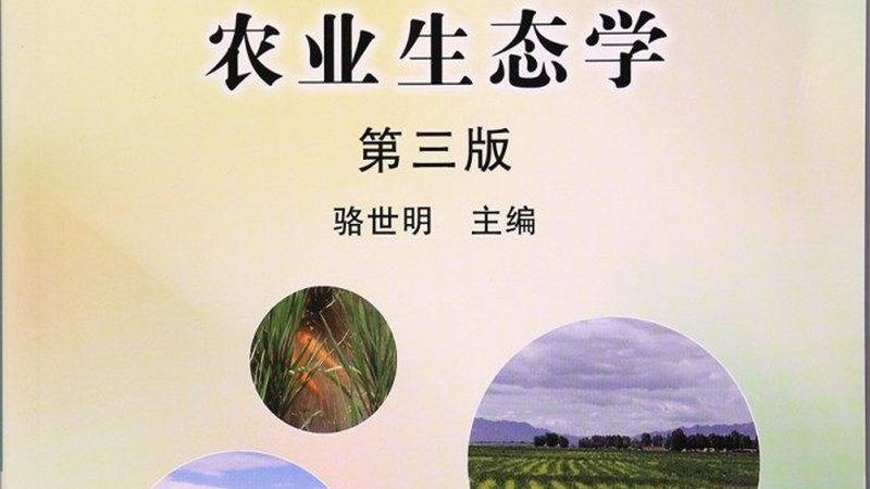 农产品批发代理：如何从利润分析中洞察行业机遇**