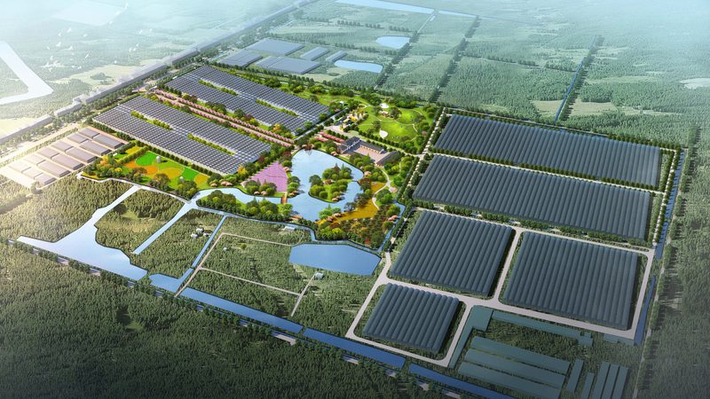 四川农产品深加工设备：从手工作坊到智能产线的跃迁