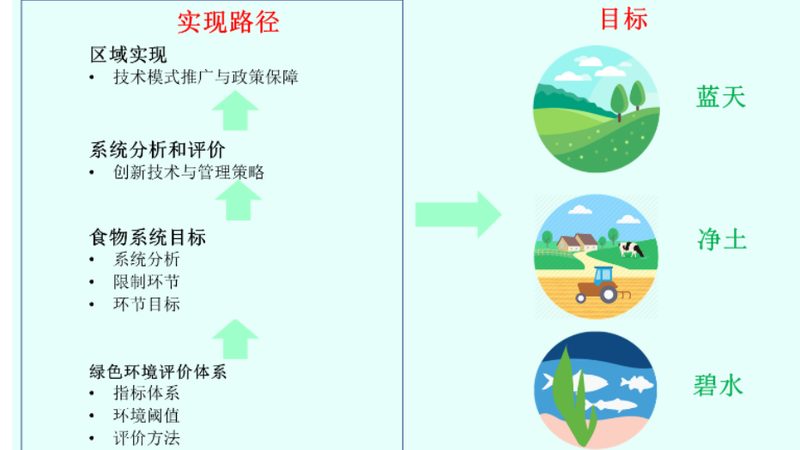 生态农业品牌区域代理加盟，如何选择合适政策？**