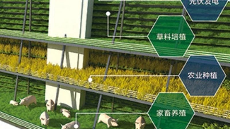 农业大棚补贴政策如何影响造价？**