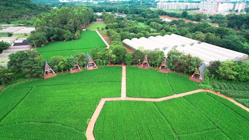 河南农资厂家复合肥，揭秘其核心参数与选择之道**