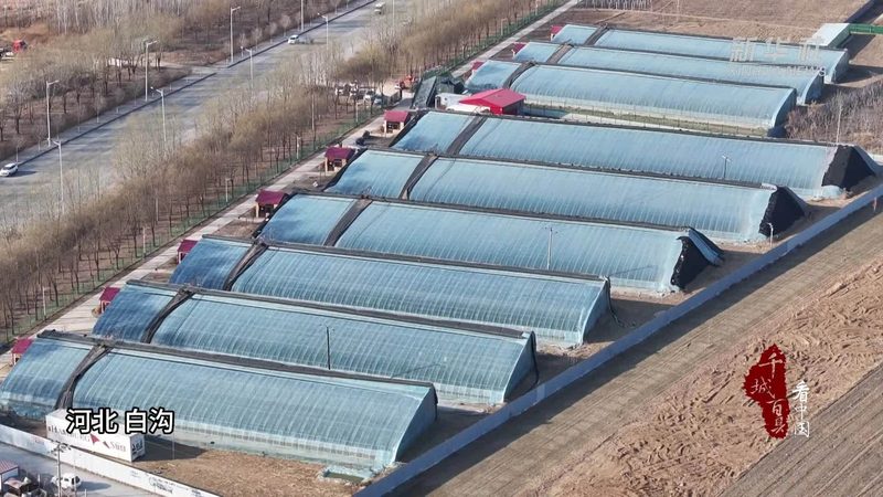 了解注册条件后，接下来就是准备注册材料。以下是一份常见的注册材料清单：