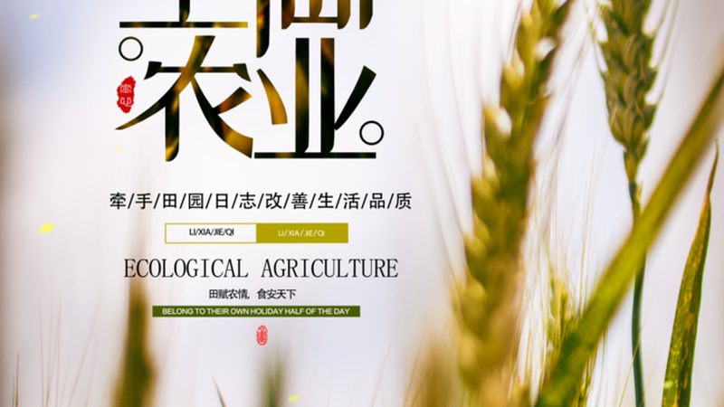 露天果园病害防治：价格背后的考量因素
